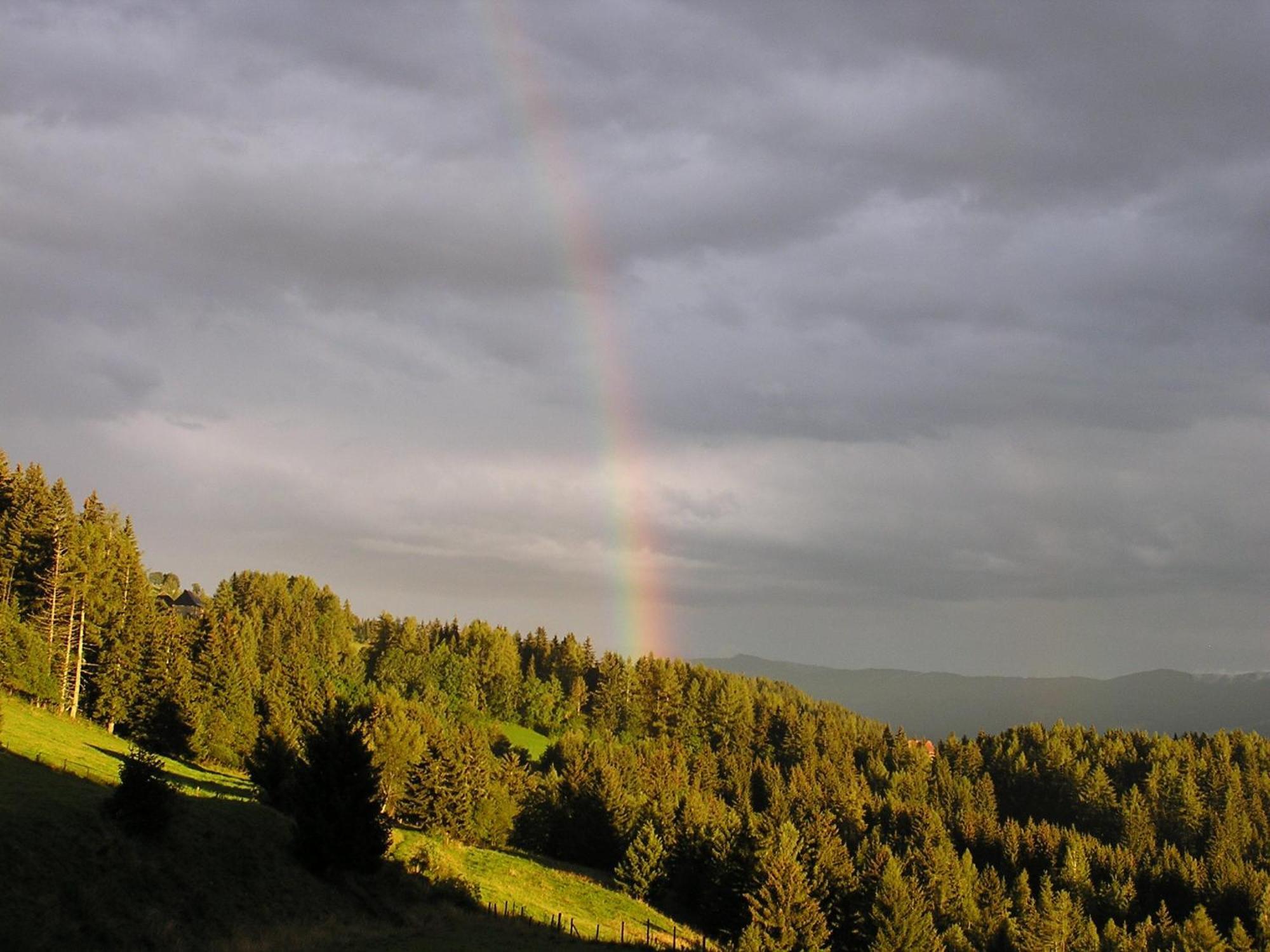 Naturpark Bauernhof Sperl Mariahof Exterior photo